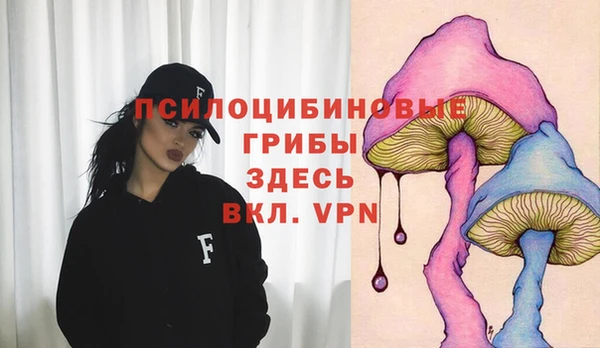 ALPHA PVP Богданович