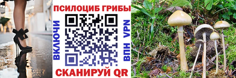 Псилоцибиновые грибы Psilocybine cubensis МЕГА рабочий сайт Вилючинск